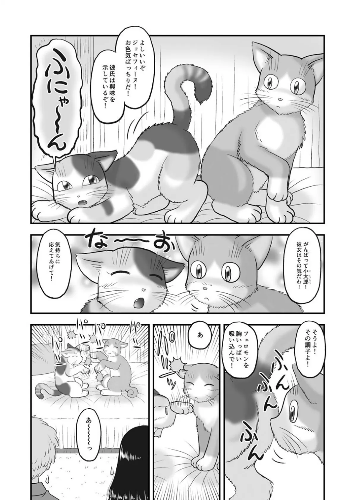 成人向けネコマンガ！ 3ページ