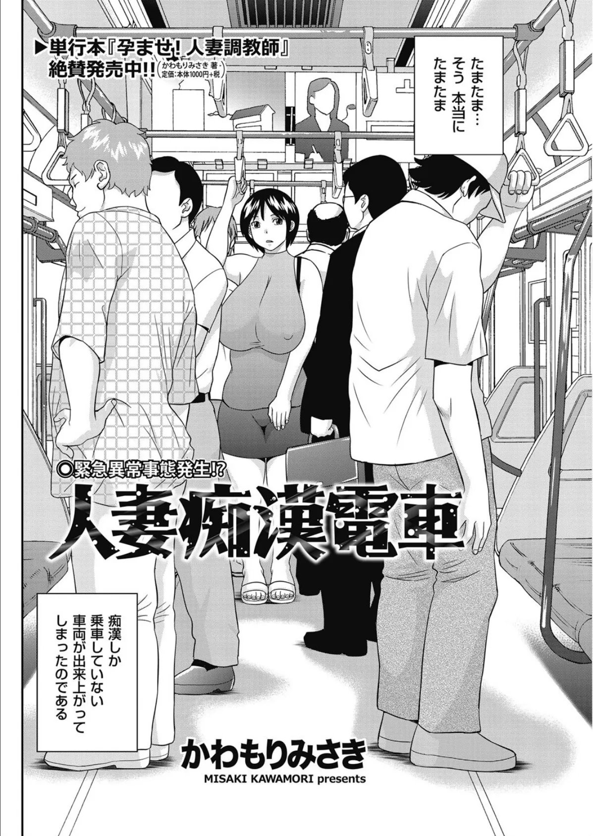 人妻痴●電車 2ページ