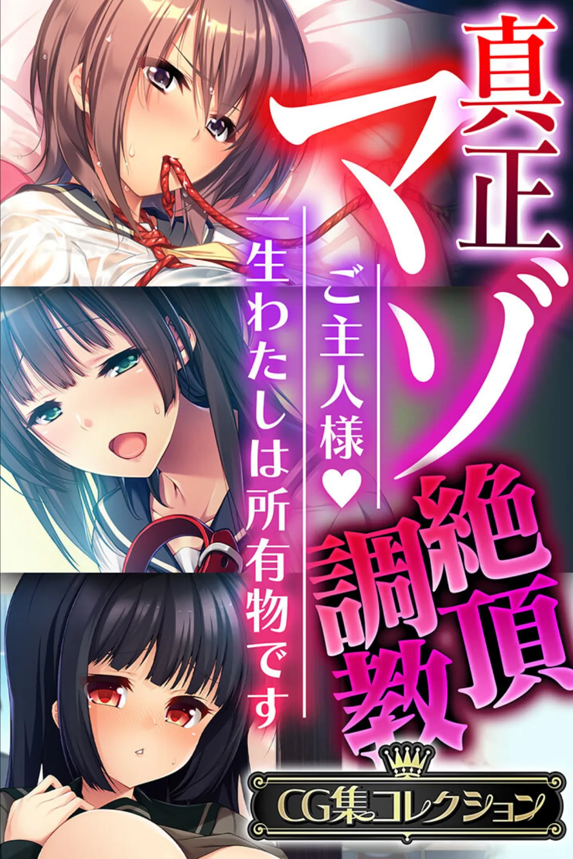 真正マゾ絶頂調教 〜ご主人様 一生わたしは所有物です〜【CG集コレクション】