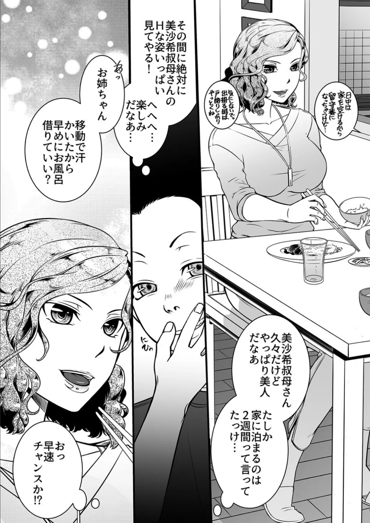 僕の叔母さん観察記録(1) 4ページ