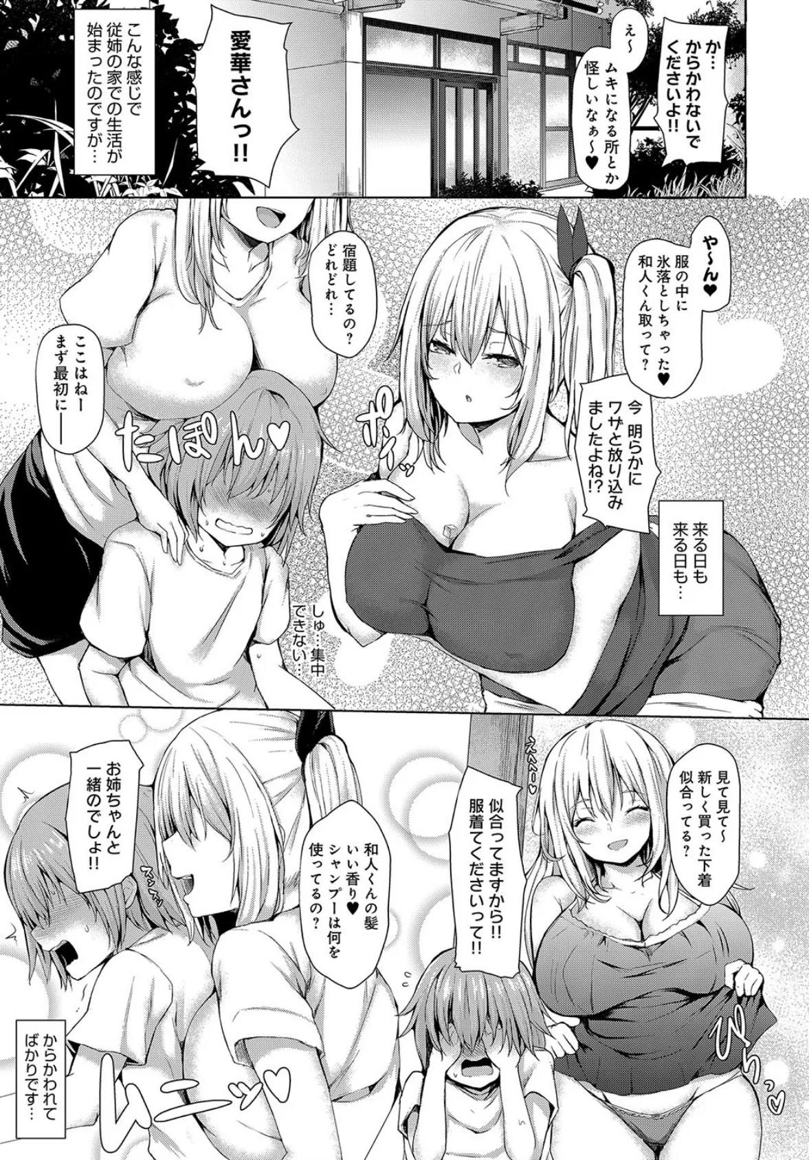 僕とお姉ちゃんの夏休み 3ページ