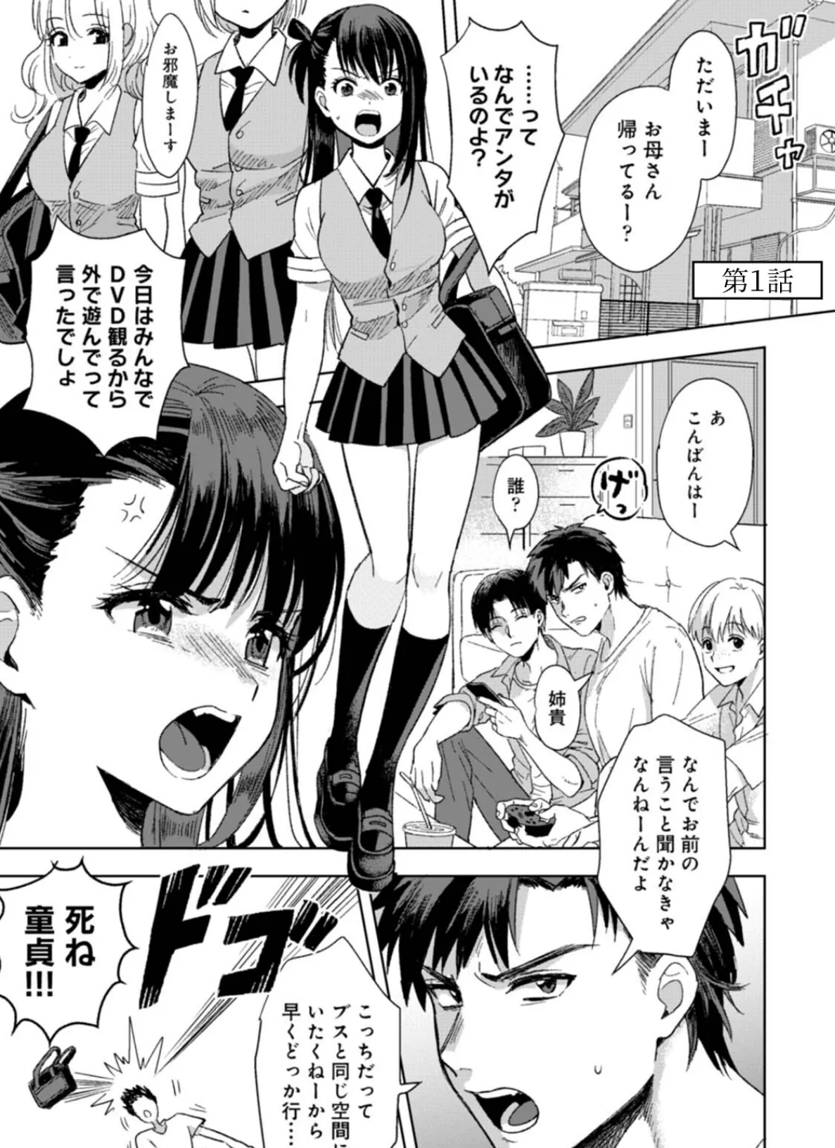 【単行本版】好みじゃないけど〜ムカつく姉と相性抜群エッチ〜(1) 5ページ