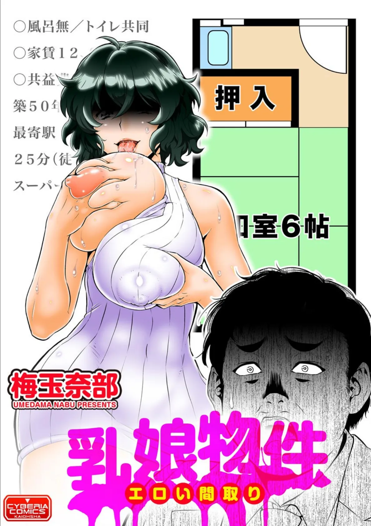 乳娘物件 エロい間取り