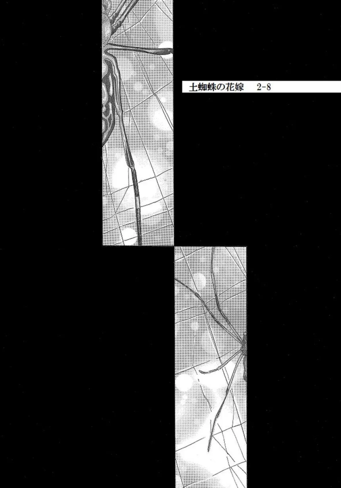 土蜘蛛の花嫁 第二章 2-8 2ページ