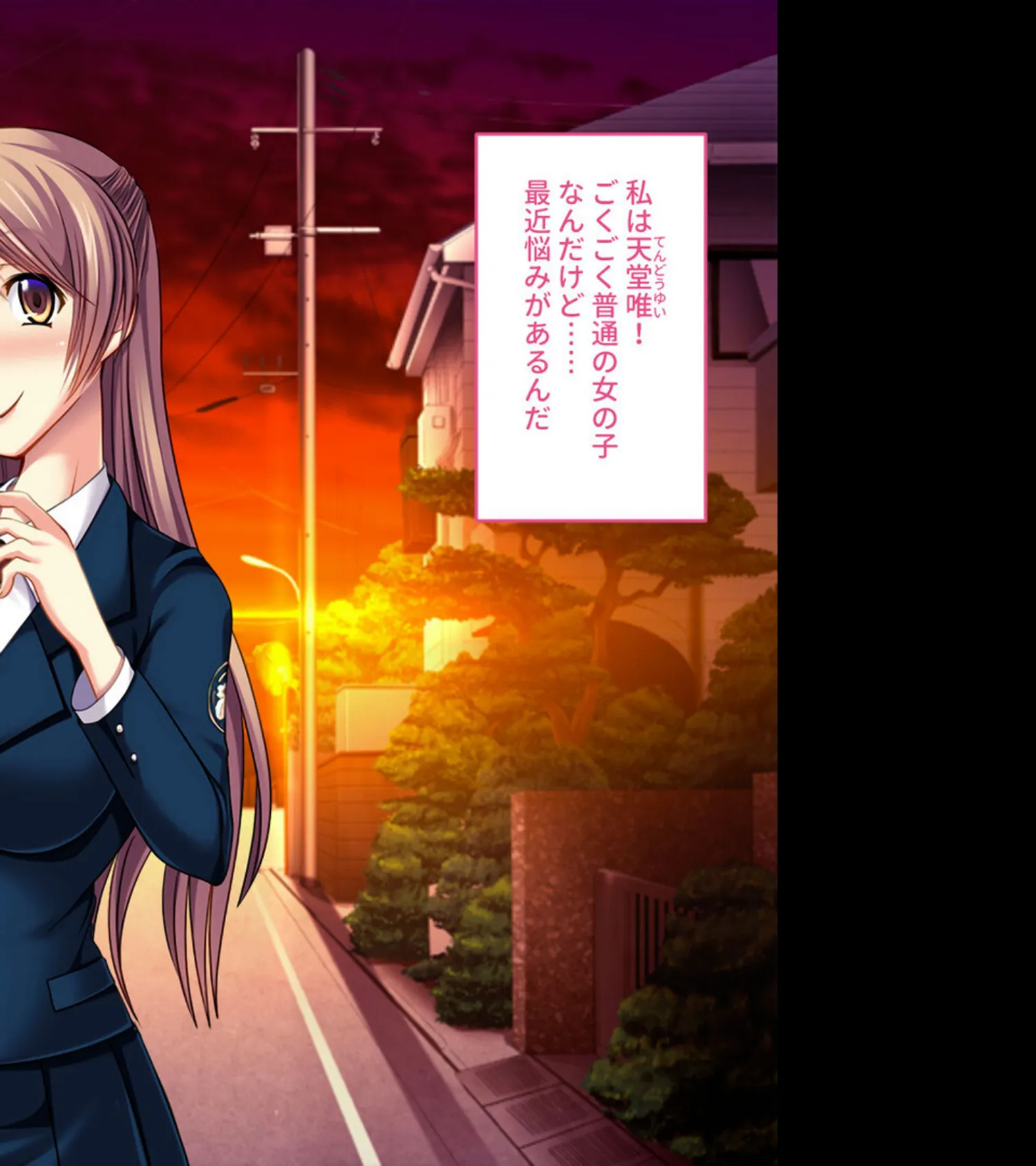 純真ヒロインの淫らな成れの果て 〜正義を塗り潰された雌の無様な顔よ〜【CG集コレクション ミニ】 3ページ