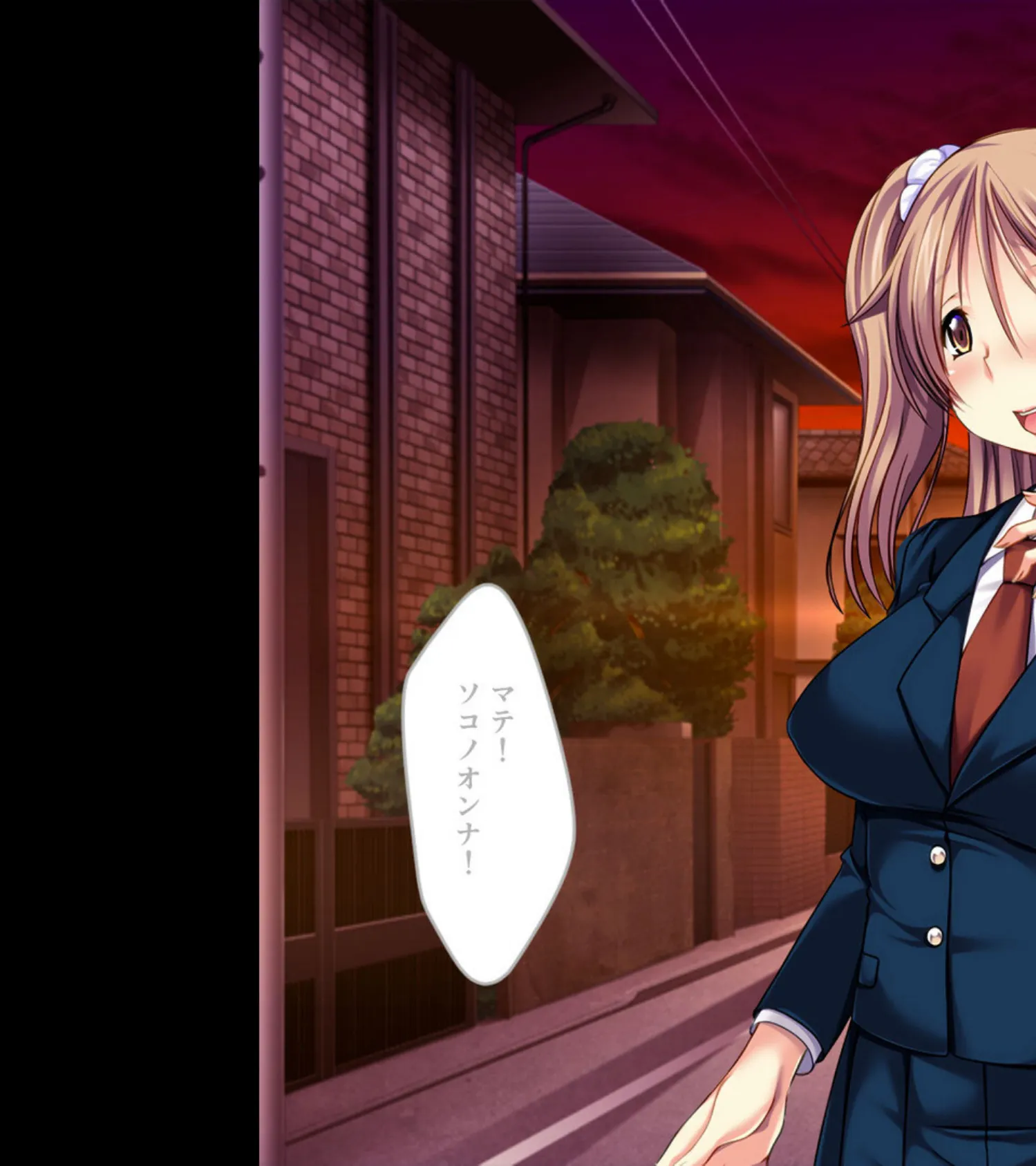 純真ヒロインの淫らな成れの果て 〜正義を塗り潰された雌の無様な顔よ〜【CG集コレクション ミニ】 6ページ