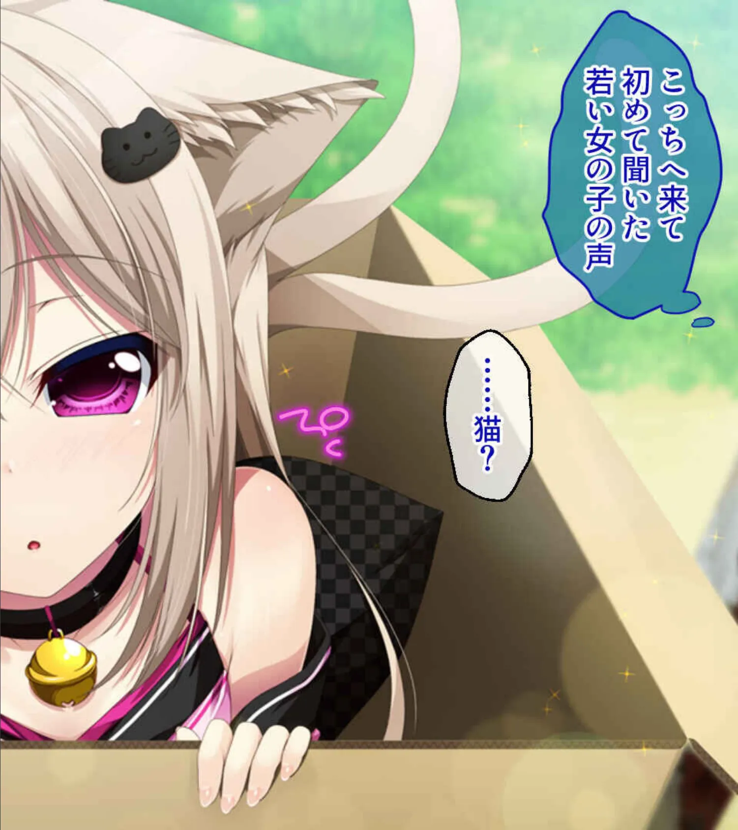 異種族の女の子に誘われて 〜モフモフの耳と、淫魔の誘惑に耐えられない!〜【CG集コレクションBIG】 5ページ