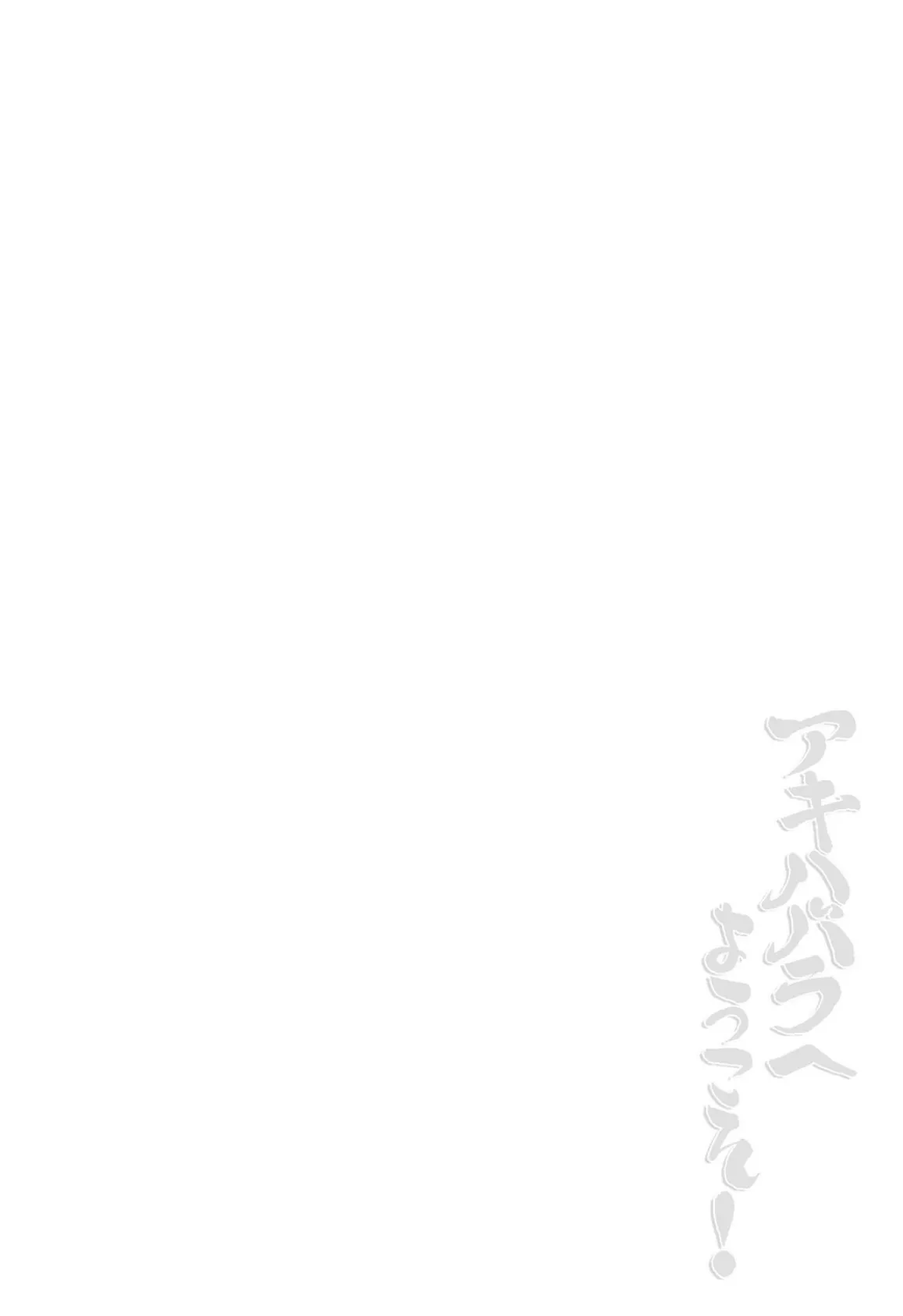 アキハバラへようこそ! 2ページ