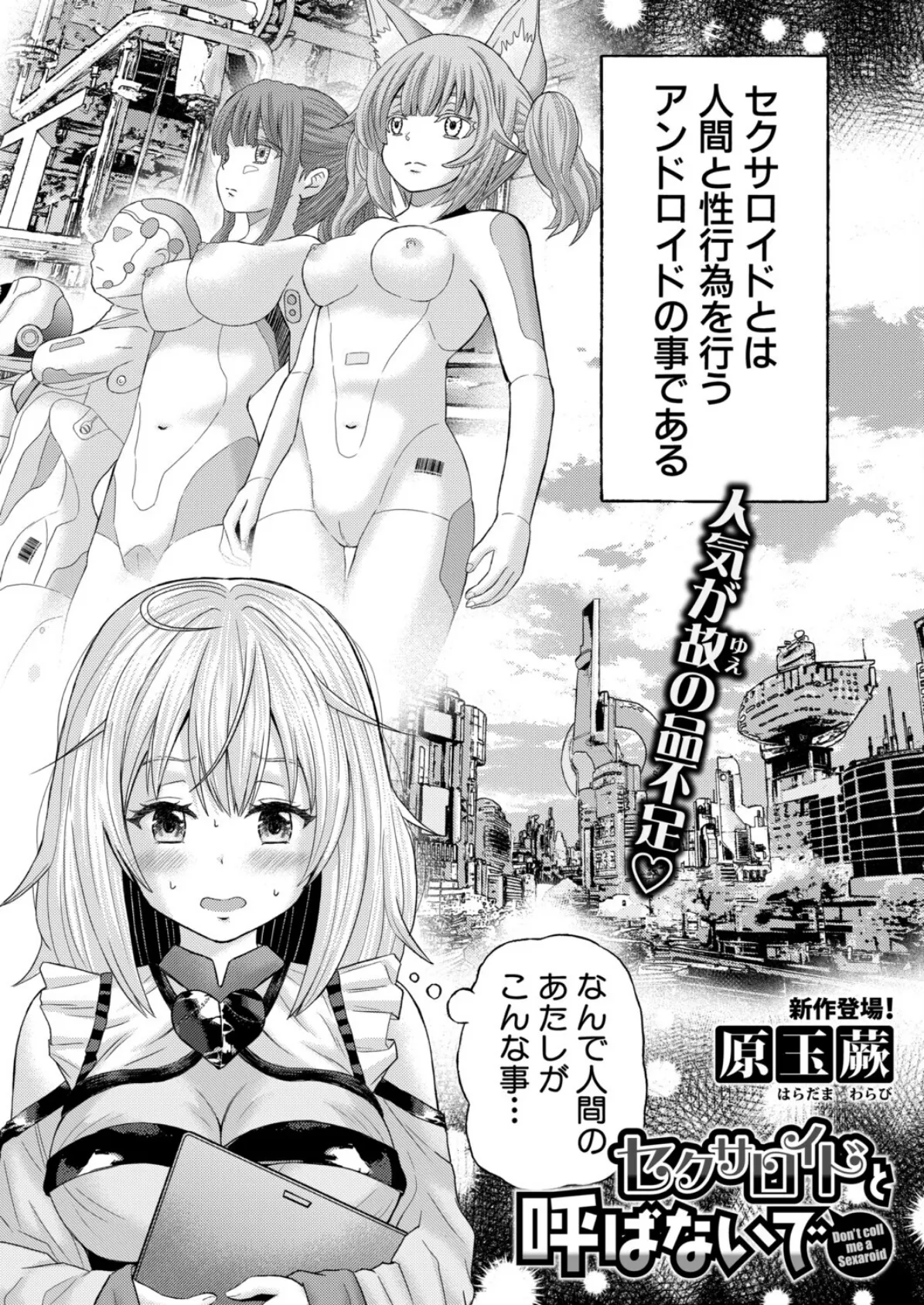 セクサロイドと呼ばないで 2ページ