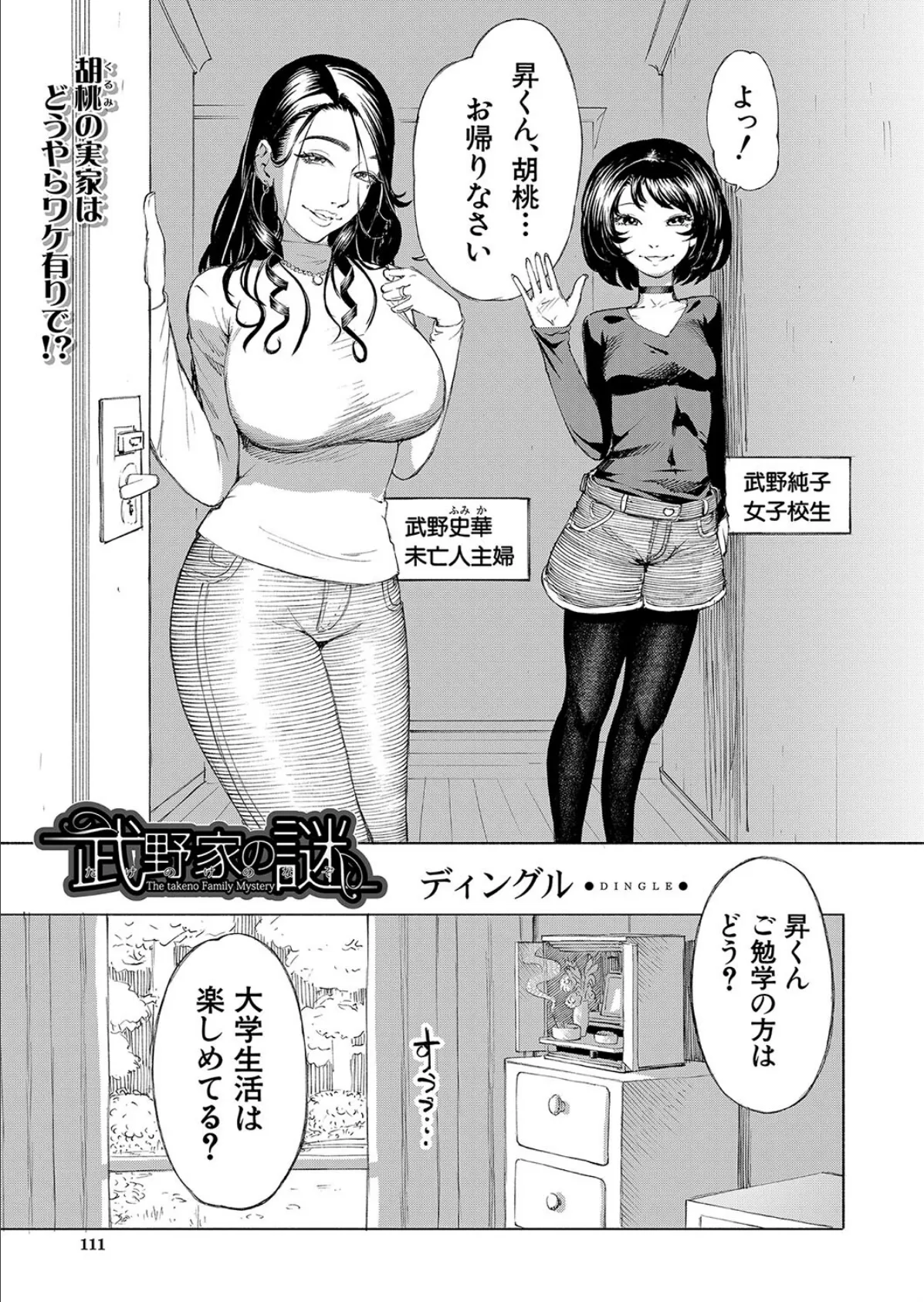 武野家の謎 （ディングル） 3ページ