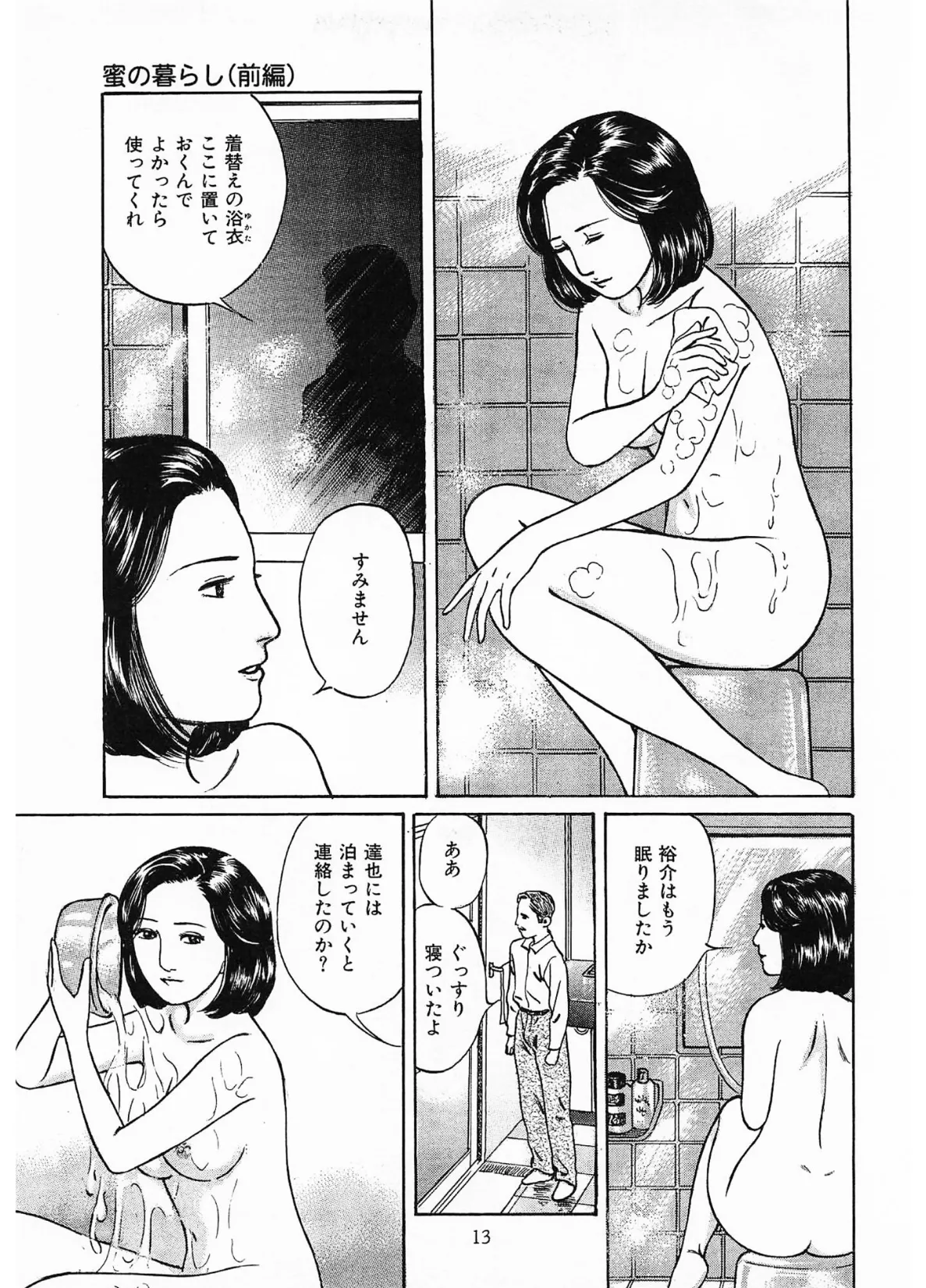 家族の肖像3＜描き下ろし原画入り特別版＞・鶴永いくお官能コレクション6 13ページ