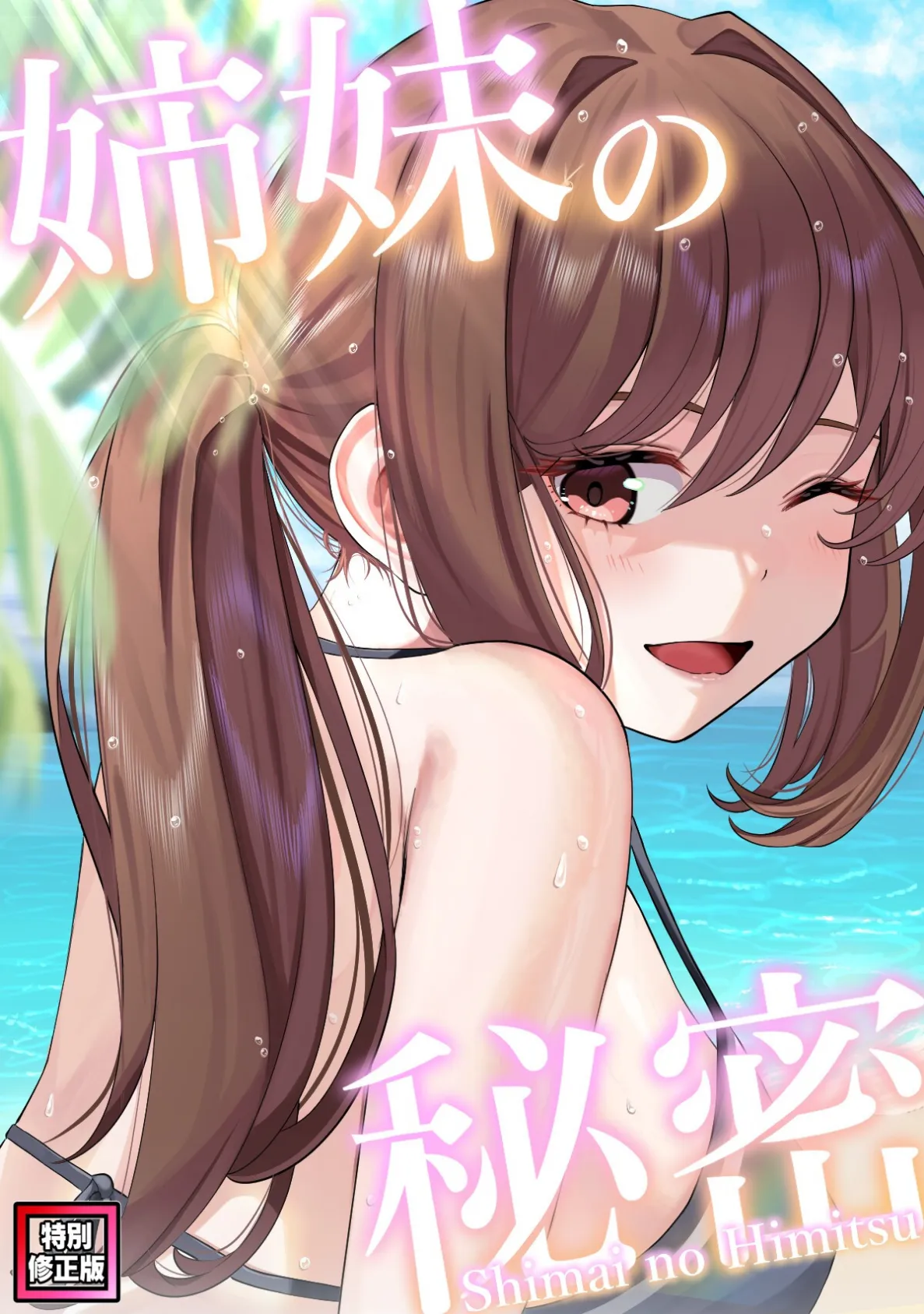 姉妹の秘密【特別修正版】（14）