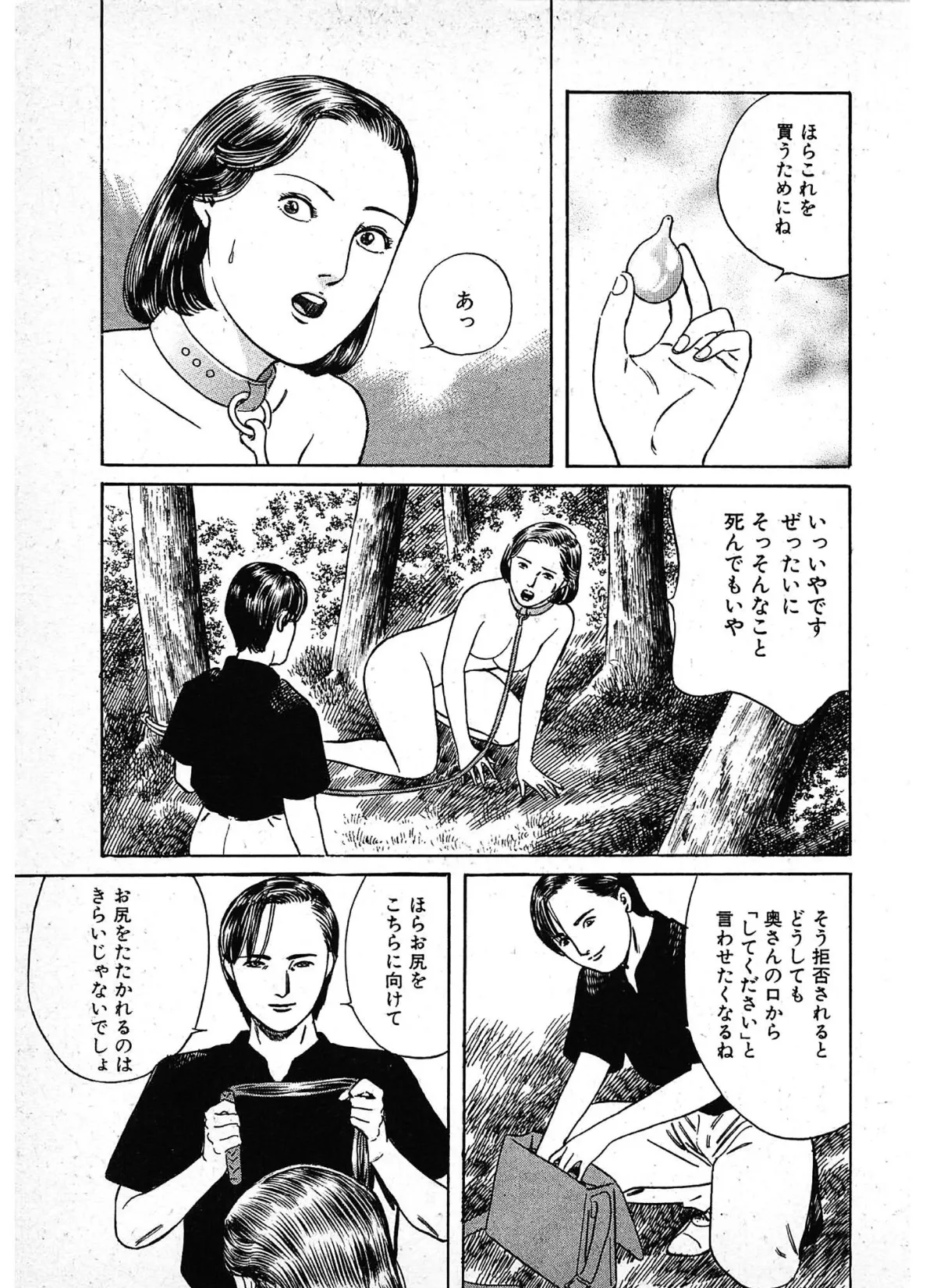 危ない悦楽＜描き下ろし原画入り特別版＞・鶴永いくお官能コレクション11 15ページ