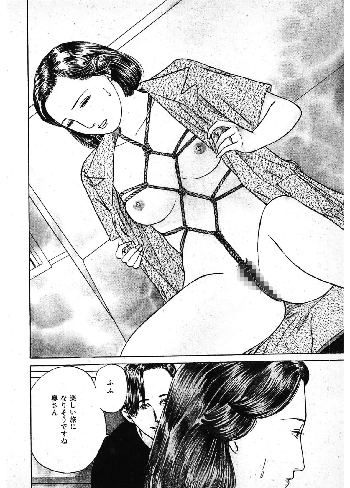 危ない悦楽＜描き下ろし原画入り特別版＞・鶴永いくお官能コレクション11 6ページ