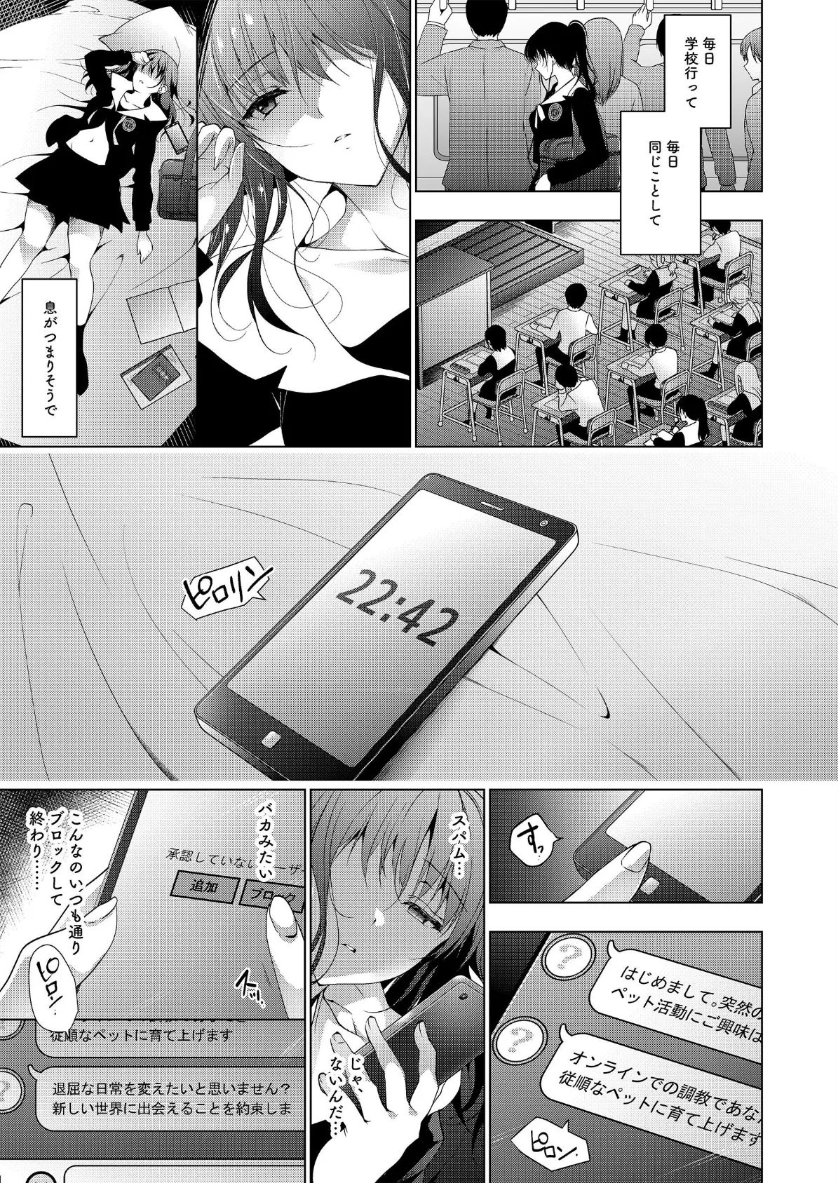 画面越しのパラフィリア 5ページ